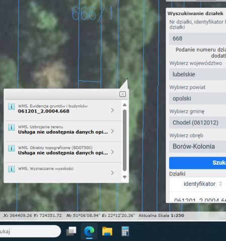 Działka leśna Borów-Kolonia. Zdjęcie 1