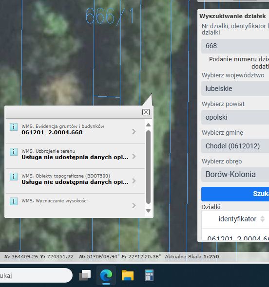 Działka leśna Borów-Kolonia
