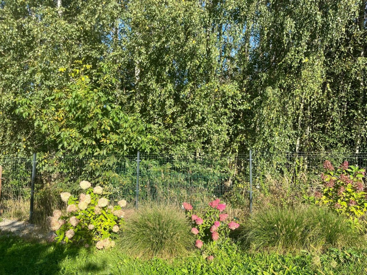 Działka budowlana Pszczyna. Zdjęcie 6