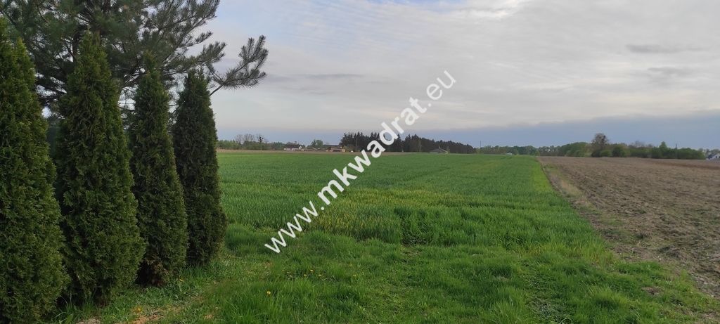 Działka budowlana Pasikonie. Zdjęcie 1