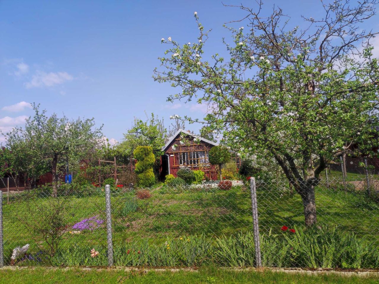 Działka rod Łomża. Zdjęcie 2