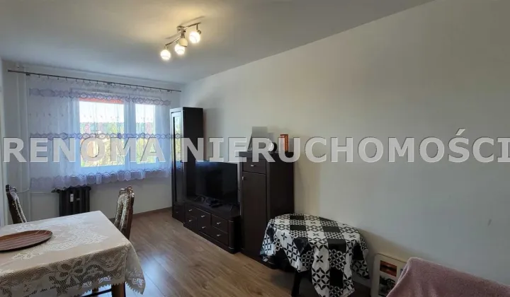 Mieszkanie 2-pokojowe Wałbrzych Podzamcze, ul. Palisadowa