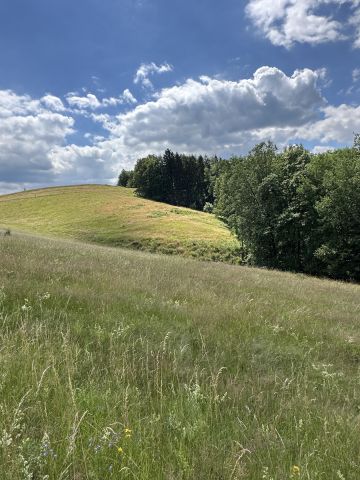Działka rolna Chwalisław. Zdjęcie 1