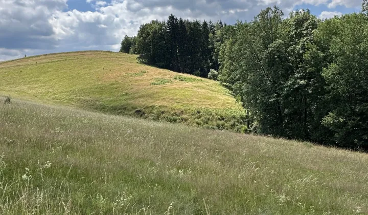 Działka rolna Chwalisław