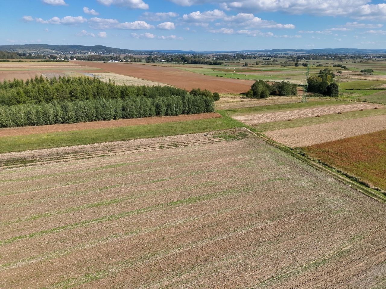 Działka budowlana Milcza, ul. Słoneczna. Zdjęcie 6