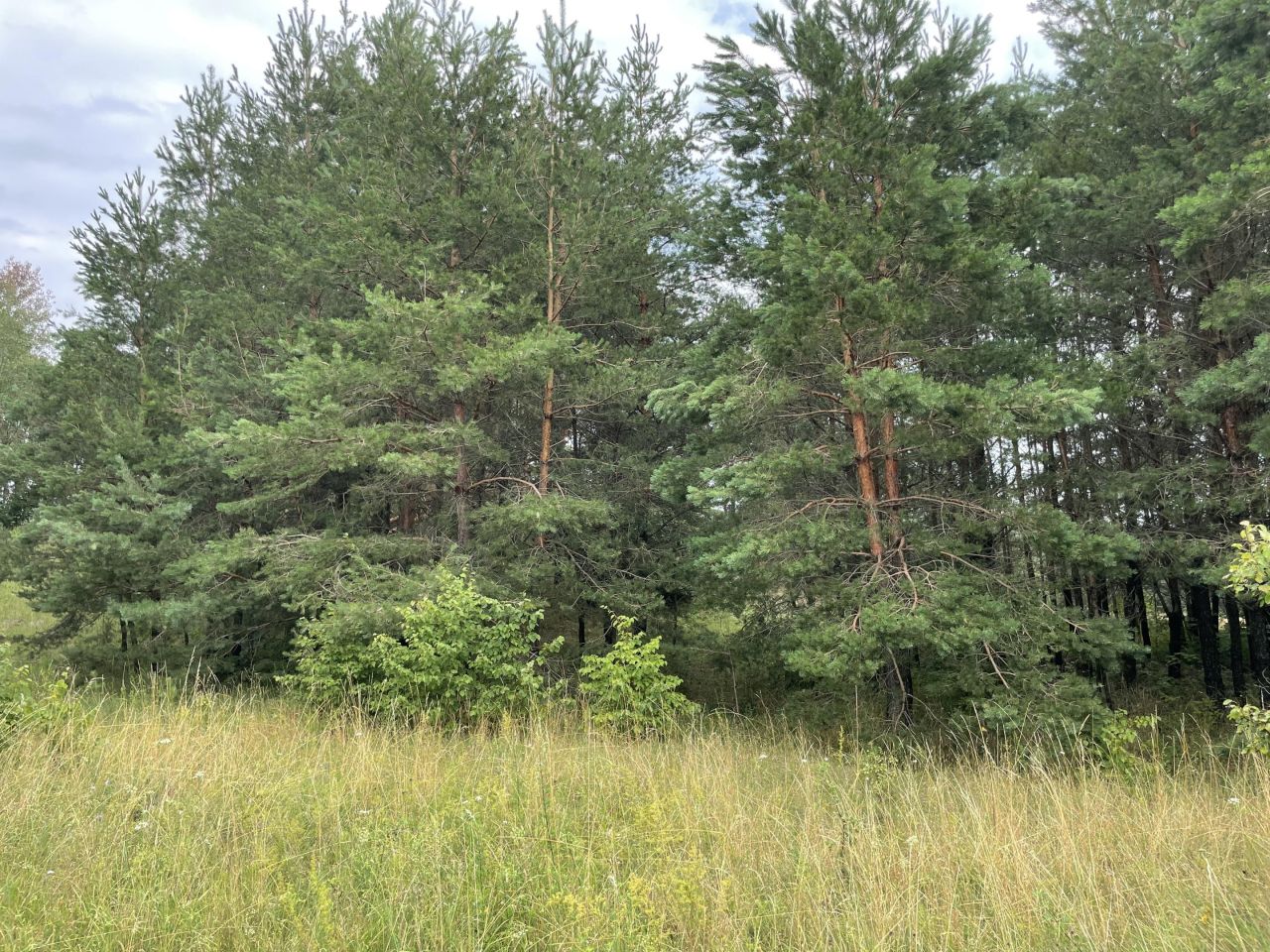 Działka rolno-budowlana Kopczany. Zdjęcie 18