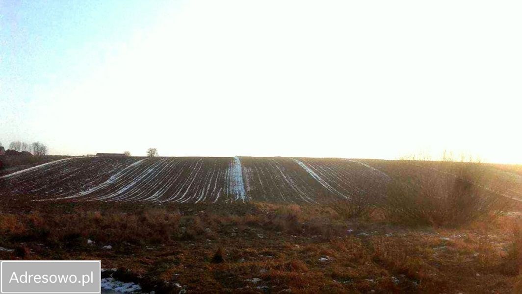 Działka rolno-budowlana Rudno Dolne. Zdjęcie 2