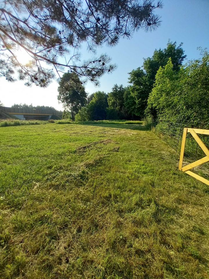 Działka budowlana Wiązowna. Zdjęcie 4