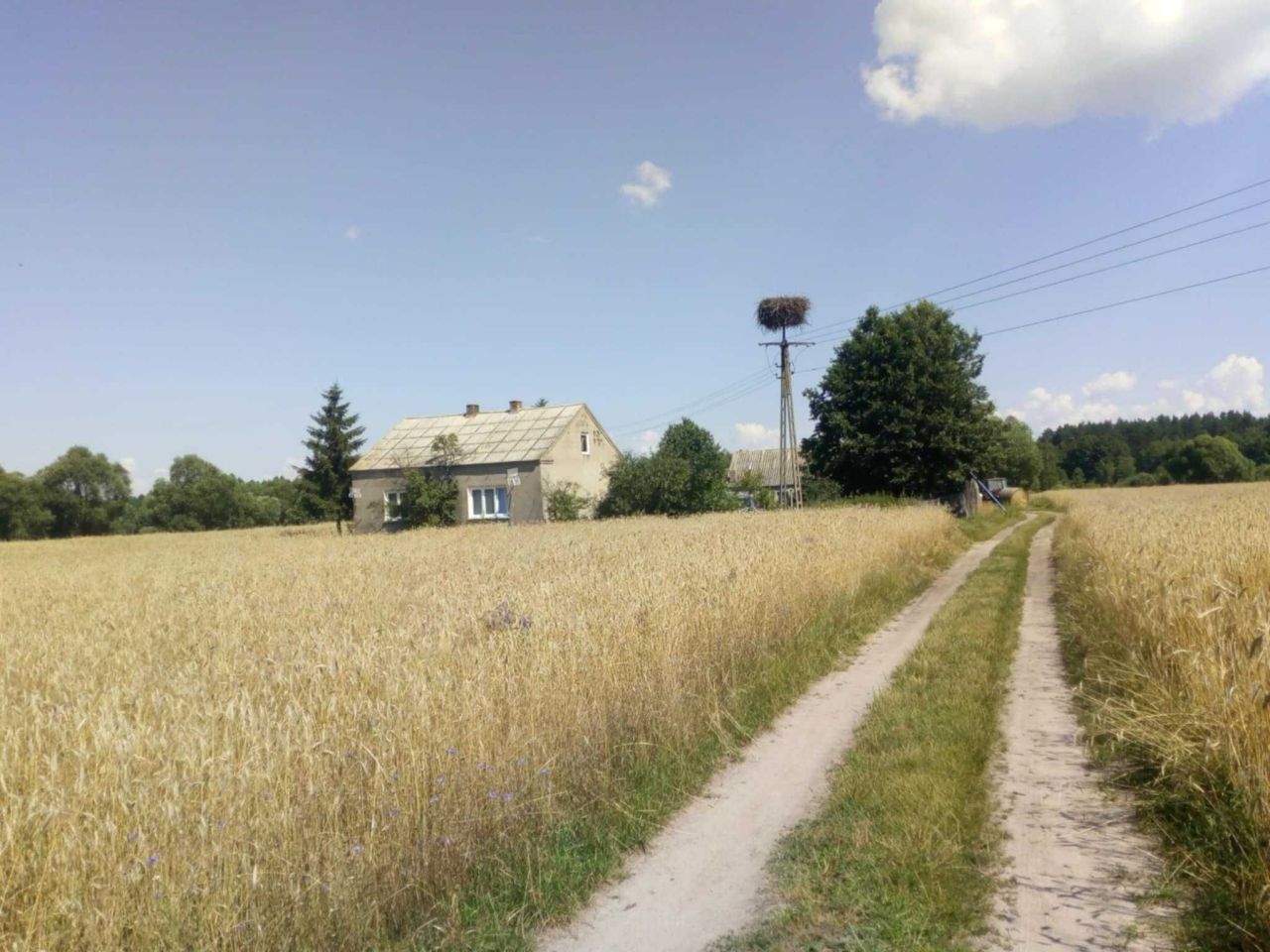 gospodarstwo Łapinóż-Rumunki. Zdjęcie 6