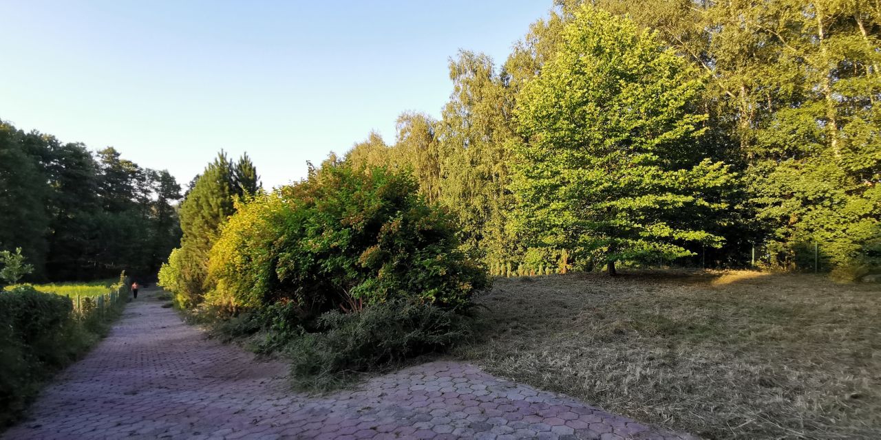 Działka budowlana Wodzisław Śląski. Zdjęcie 3