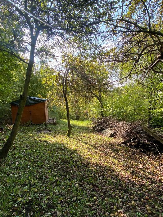 Działka rod Będzin Grodziec. Zdjęcie 7