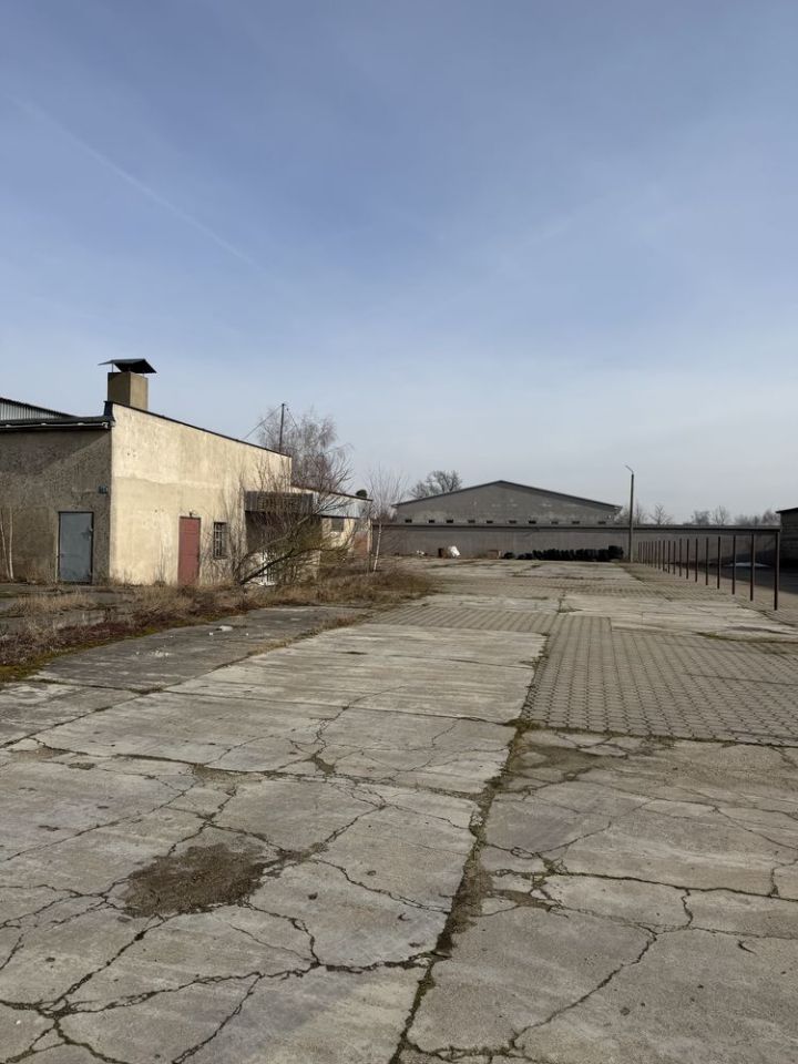 Działka inwestycyjna Suchary. Zdjęcie 4