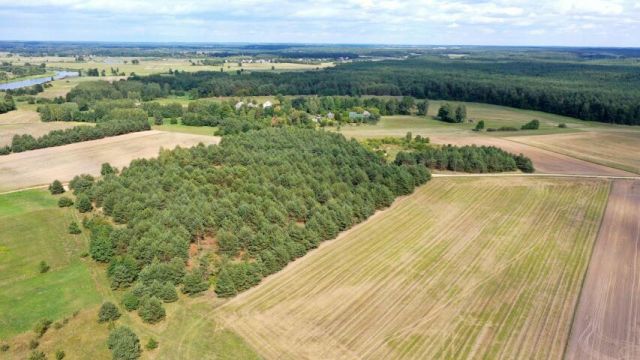 Działka rolna Osetno. Zdjęcie 10