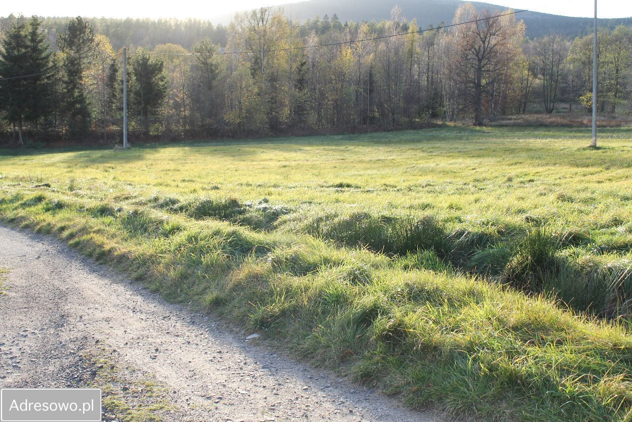 Działka rolna Antoniów. Zdjęcie 4