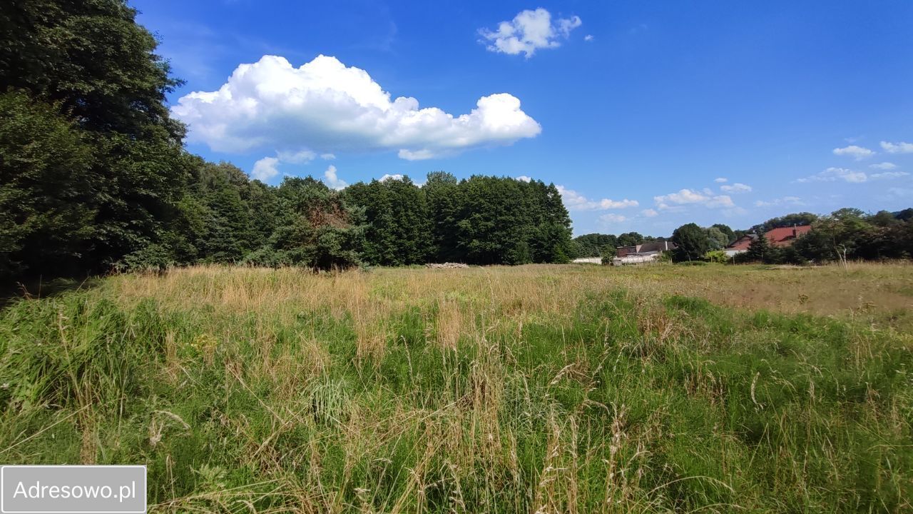 Działka rolna Zielona Góra Nowy Kisielin, ul. Nowy Kisielin-Dolna. Zdjęcie 3