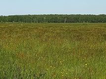 Działka budowlana Wierzchucino, ul. Morska. Zdjęcie 2