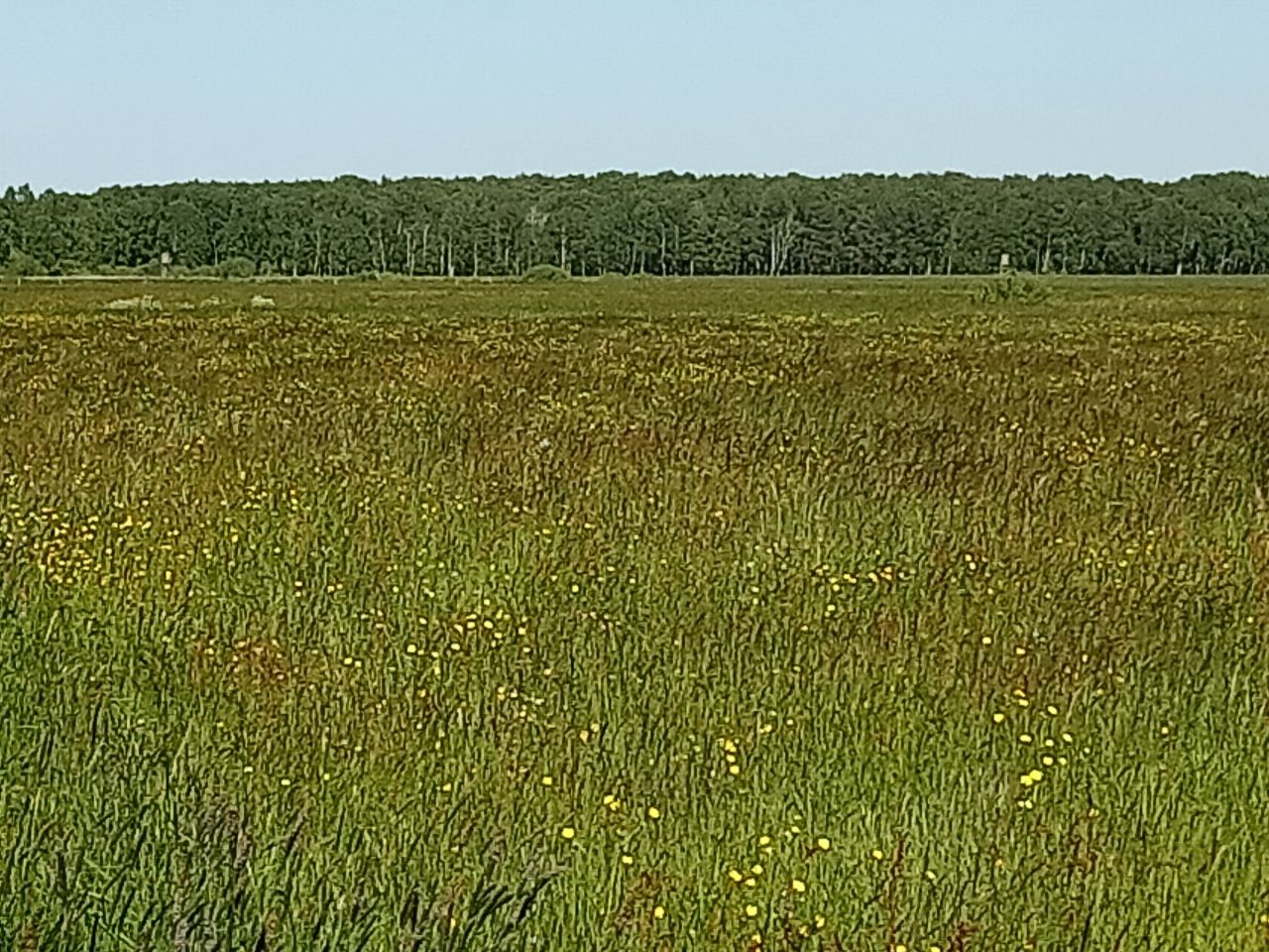 Działka budowlana Wierzchucino, ul. Morska. Zdjęcie 3