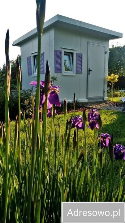 Działka rod Radom Wośniki, ul. Hodowlana. Zdjęcie 7