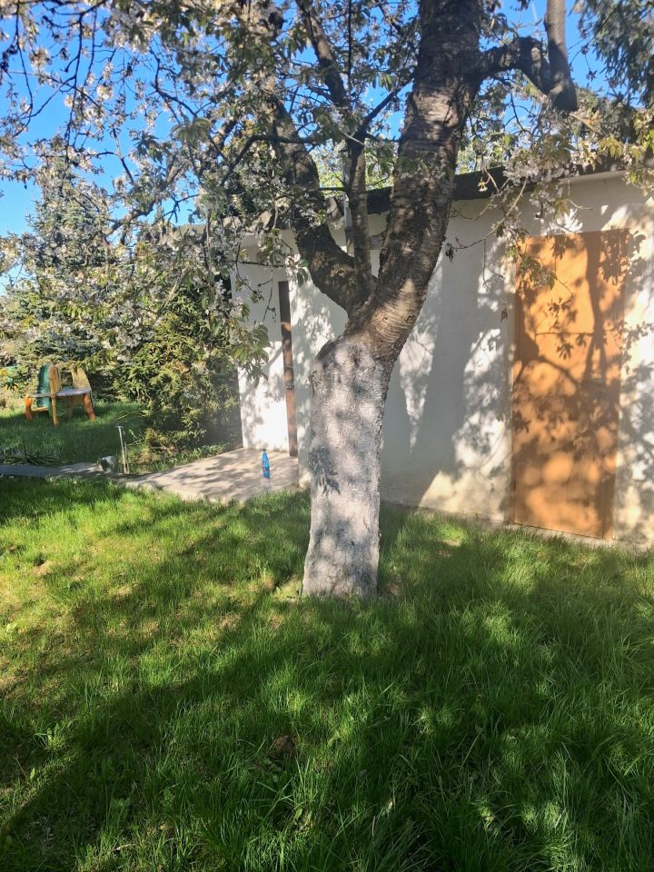 Działka rekreacyjna Lubin, Rod lubczyk. Zdjęcie 7