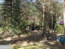 Działka rekreacyjna Borków. Zdjęcie 2