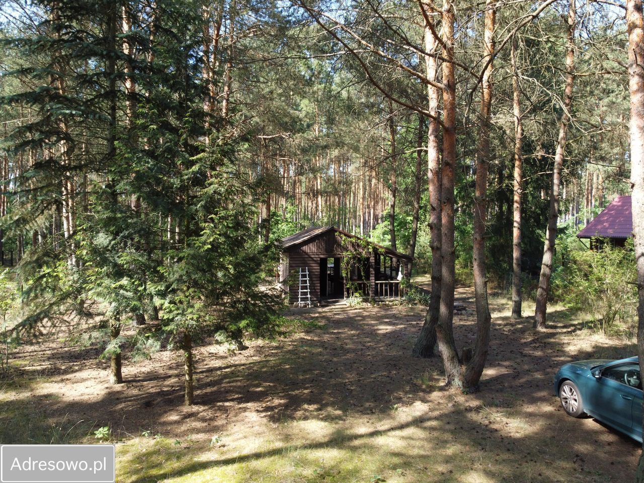 Działka rekreacyjna Borków. Zdjęcie 3