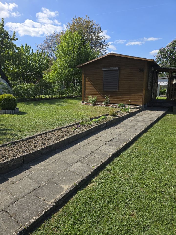 Działka rod Knurów Szczygłowice, ul. Wieczorka. Zdjęcie 4