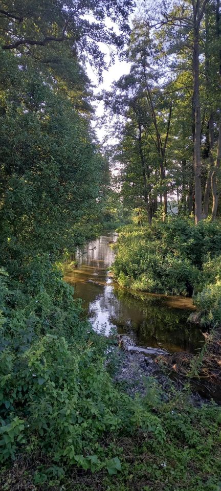 Działka rolna Kuskowizna. Zdjęcie 8