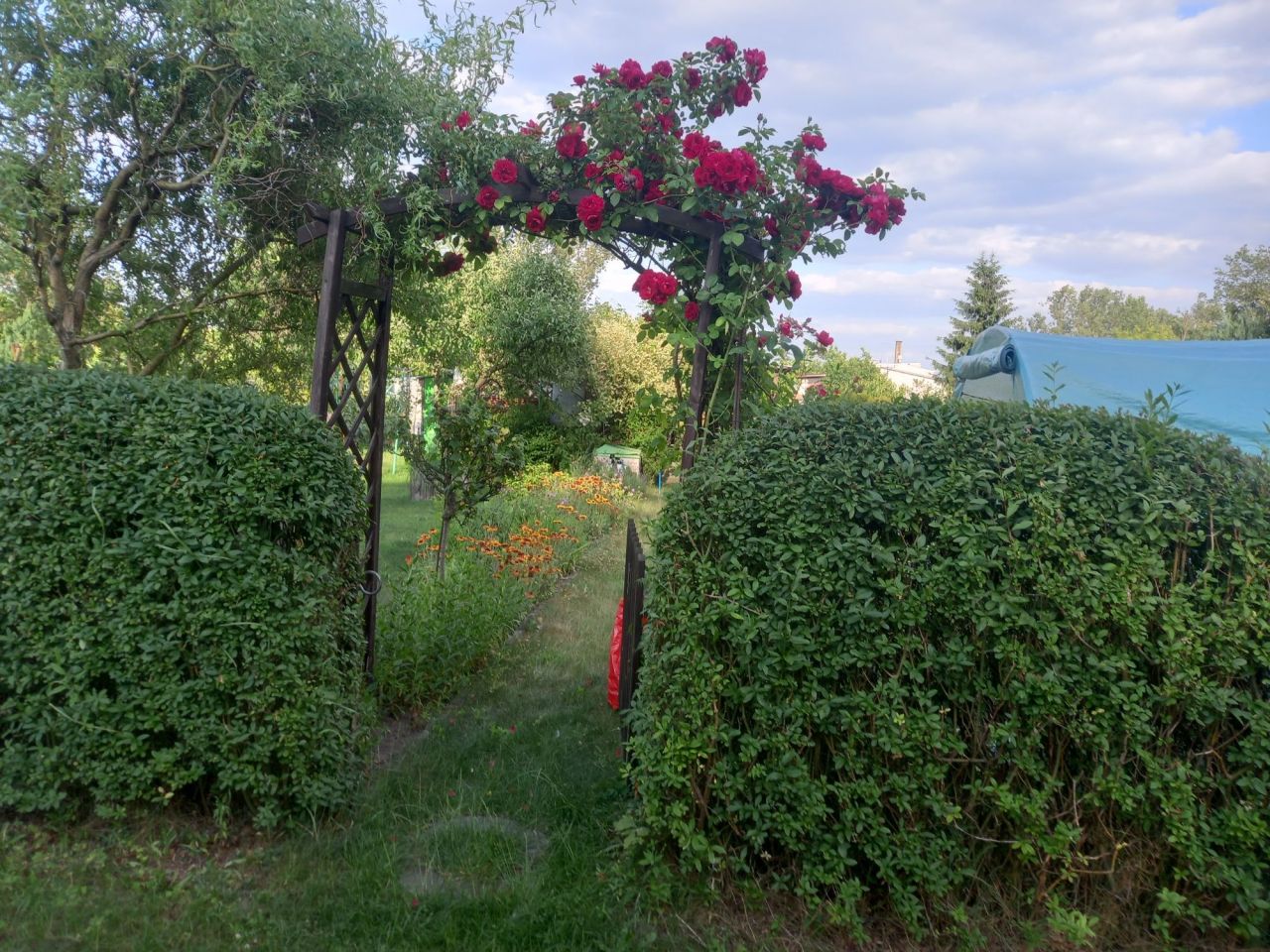 Działka rekreacyjna Nowa Sól. Zdjęcie 6