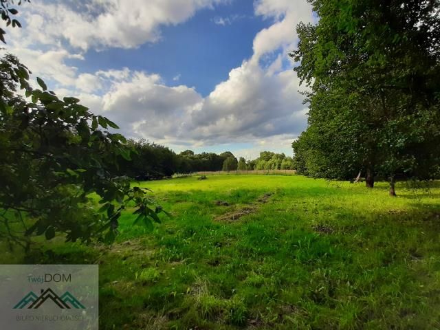 dom wolnostojący, 4 pokoje Ujków Nowy. Zdjęcie 2