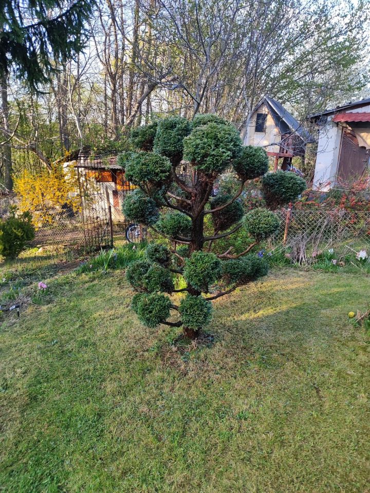 Działka rod Płock. Zdjęcie 6