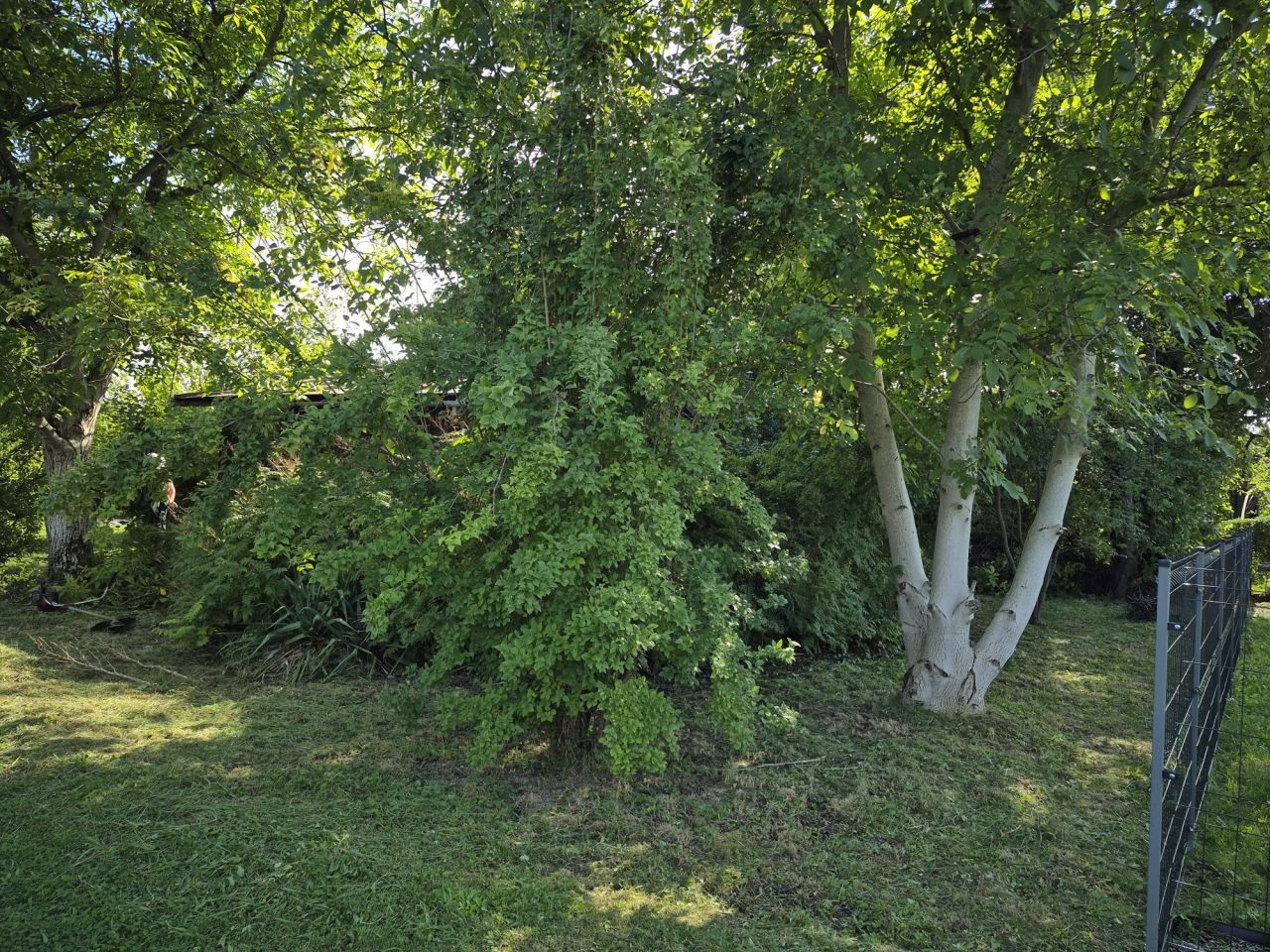 Działka rod Rzeszów, ul. Ciepłownicza. Zdjęcie 3