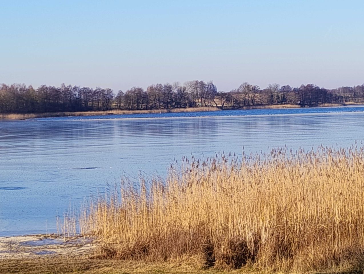 Działka budowlana Chłopowo. Zdjęcie 5
