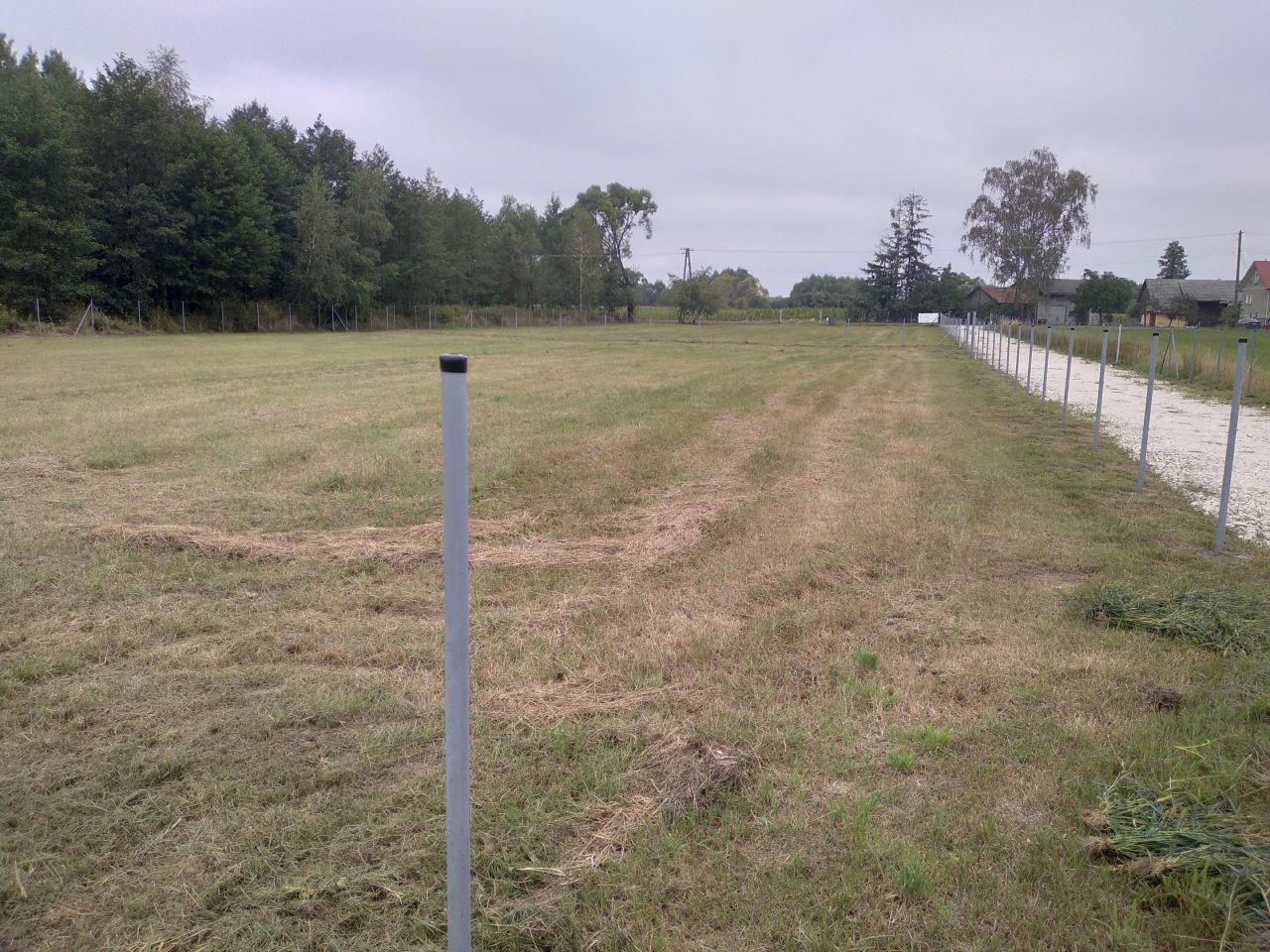 Działka rolno-budowlana Lubasz. Zdjęcie 2