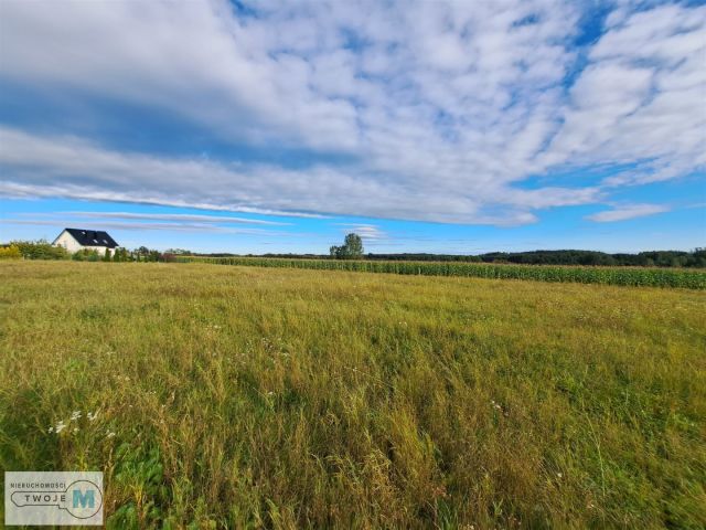 Działka inwestycyjna Pierzchnica. Zdjęcie 5