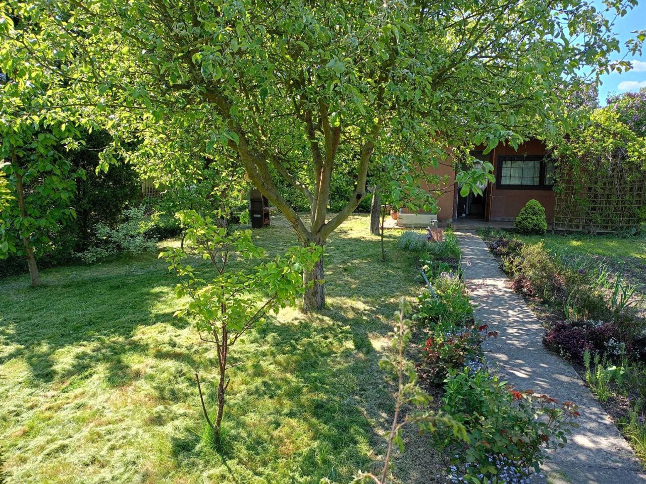 Działka rod Lubin. Zdjęcie 5