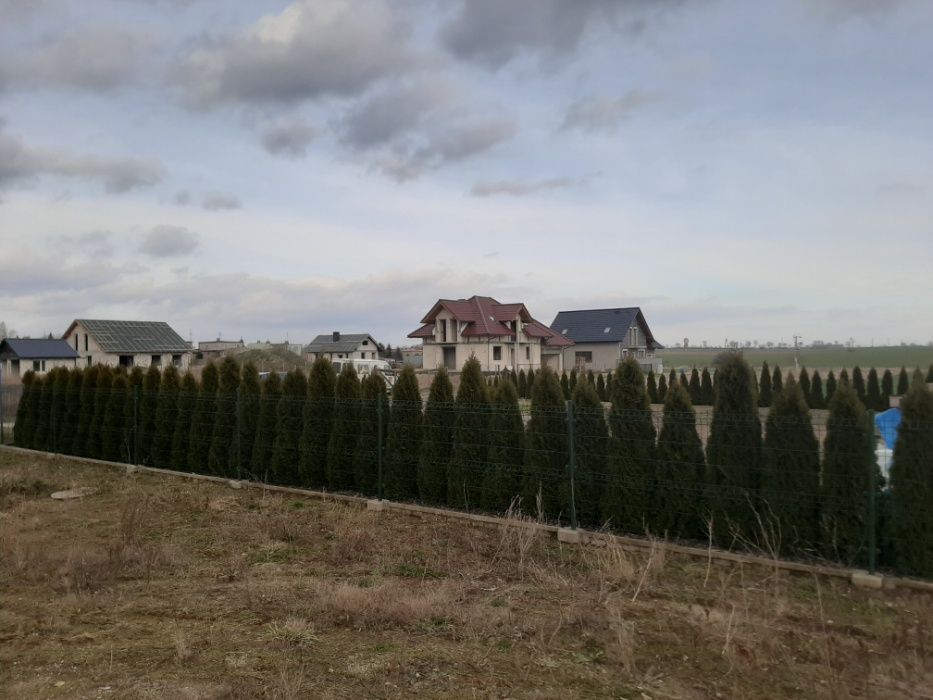 Działka budowlana Mogilno, ul. Adama Asnyka. Zdjęcie 6