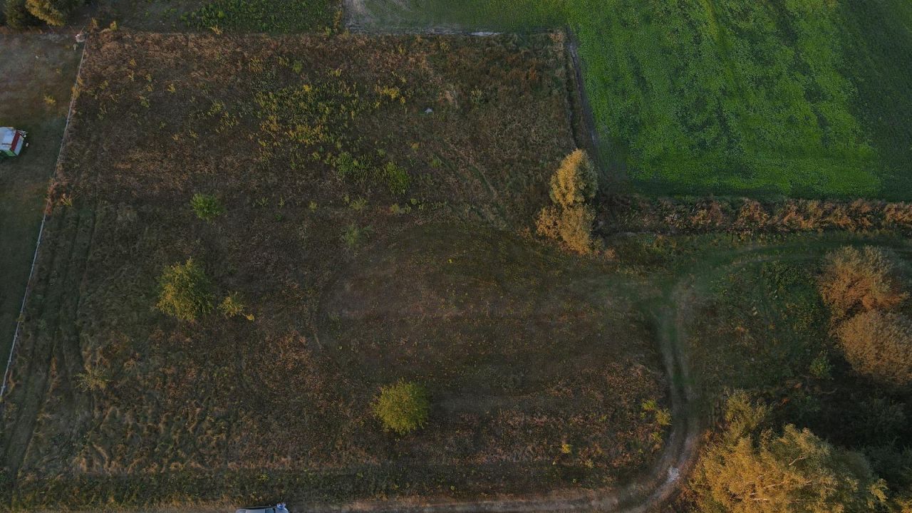 Działka budowlana Bielszczyzna. Zdjęcie 8