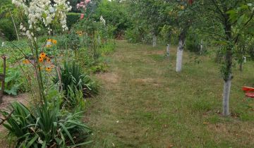 Działka rod Radom Potkanów, ul. Żelazna