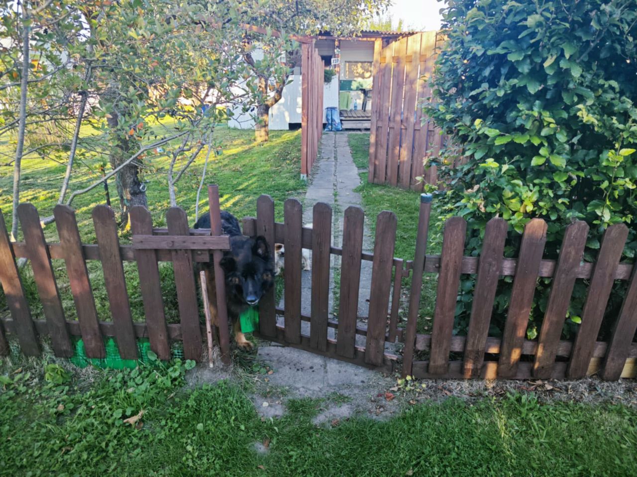 Działka rod Koszalin Jamno, ul. Aleja Europejska. Zdjęcie 14