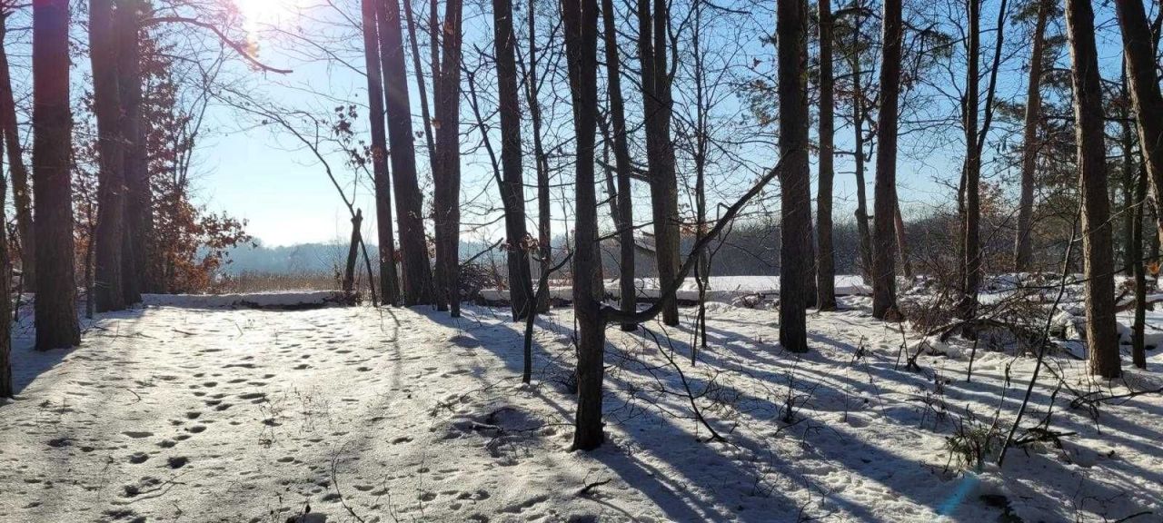 Działka budowlana Kazimierz Dolny Dąbrówka. Zdjęcie 7