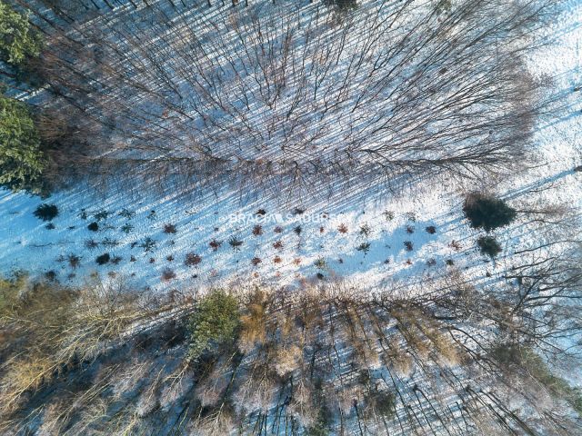 dom wolnostojący, 10 pokoi Brzezie. Zdjęcie 14