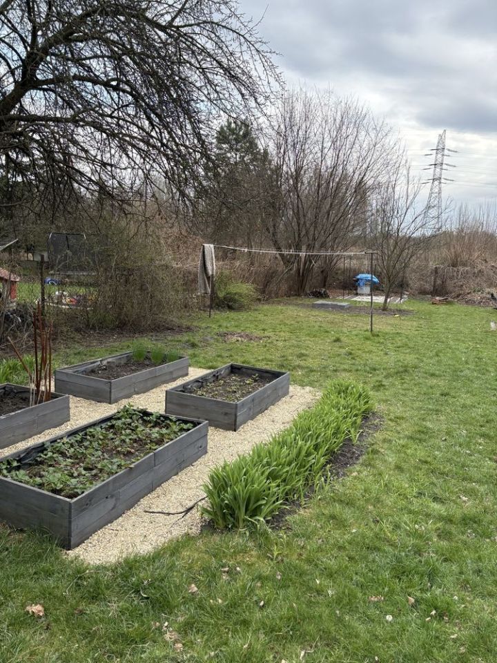 Mieszkanie 3-pokojowe Łaziska Górne. Zdjęcie 5