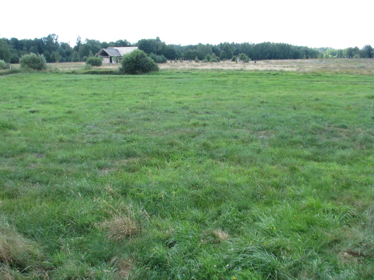 Działka rolno-budowlana Strękowizna. Zdjęcie 6