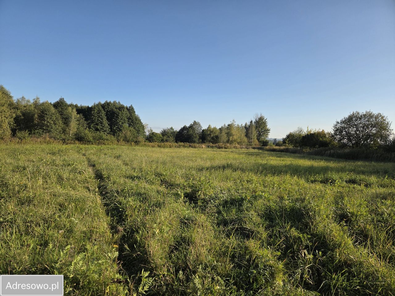 Działka budowlana Krasne