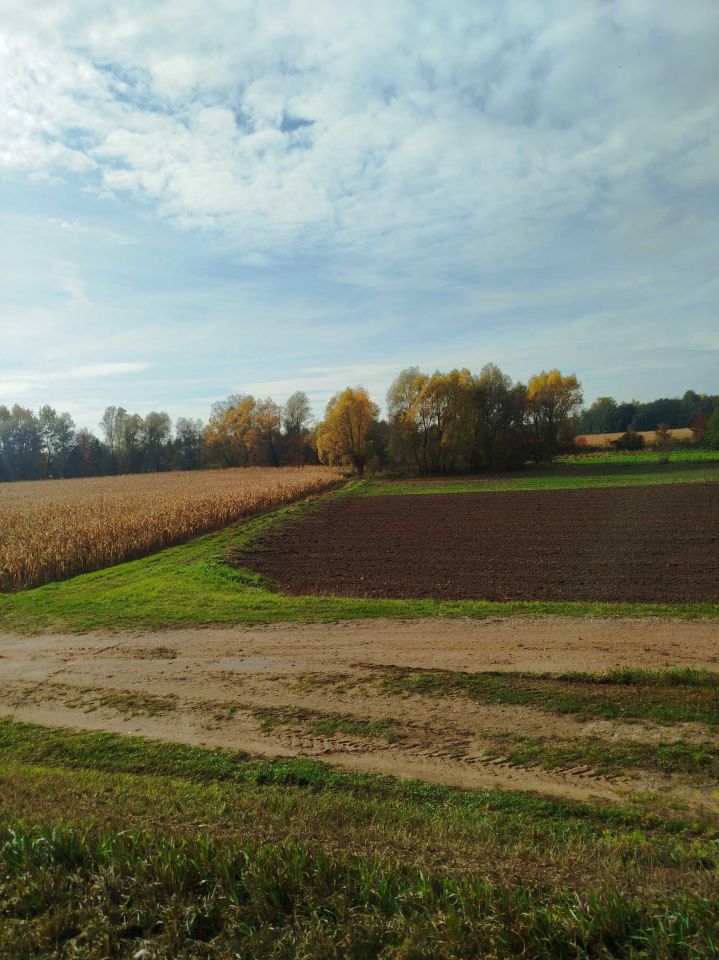 gospodarstwo Kępa Karolińska. Zdjęcie 3
