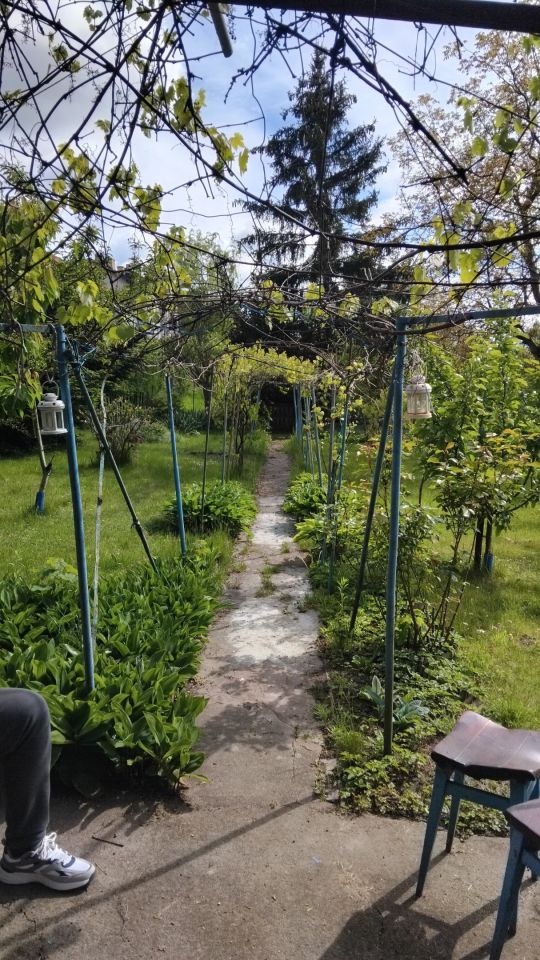 Działka rod Kwidzyn, ul. Józefa Hallera. Zdjęcie 4