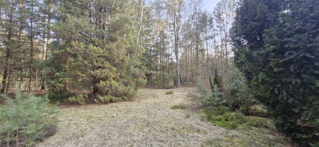 Działka rekreacyjna Malinówka. Zdjęcie 2