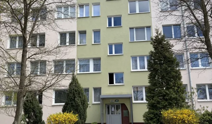 Mieszkanie 3-pokojowe Lubin