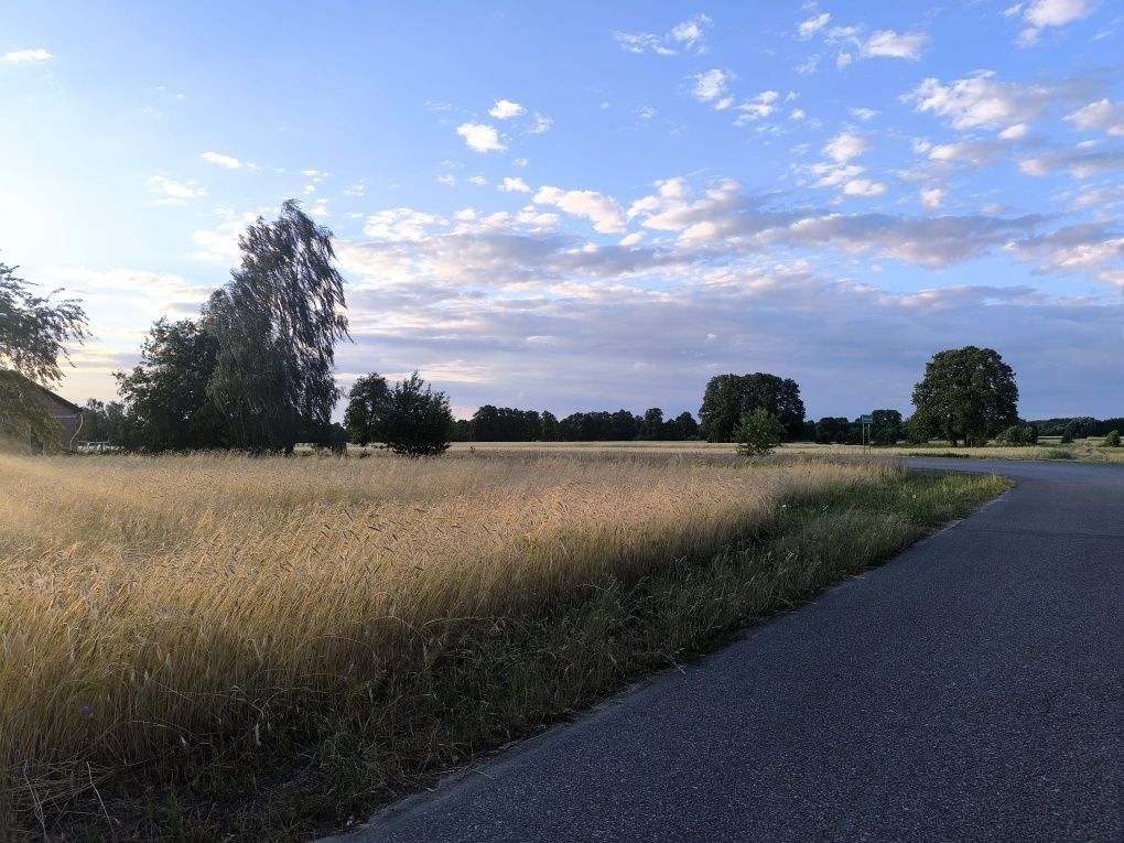 Działka budowlana Czyżeminek. Zdjęcie 5