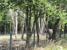 Działka Marszewska Kolonia. Zdjęcie 2